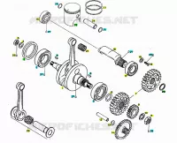 Arbre moteur