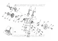 Arbre moteur