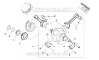 Arbre moteur