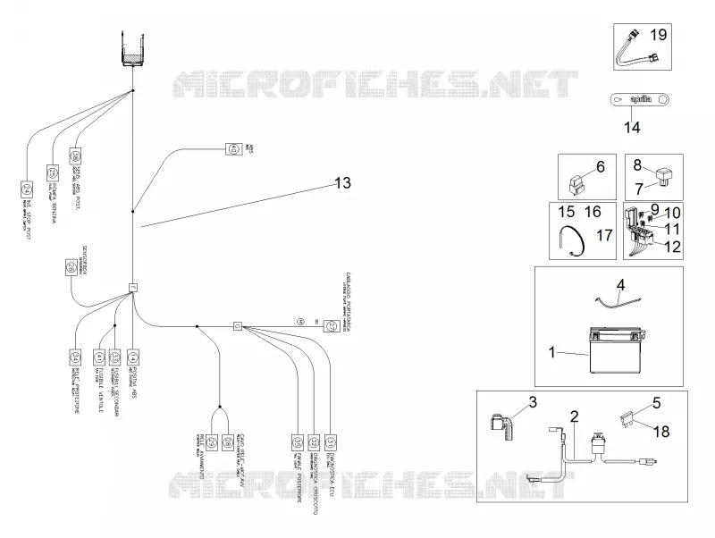 Circuit electrique arrière