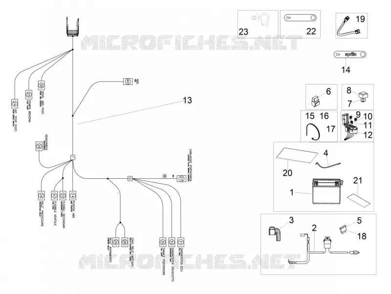 Circuit electrique arrière