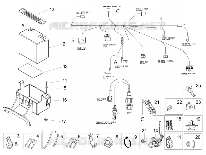Circuit electrique arrière