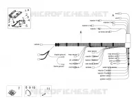 CIRCUIT ELECTRIQUE ARRIERE