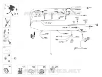 CIRCUIT ELECTRIQUE AVANT