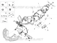 CIRCUIT ELECTRIQUE AVANT