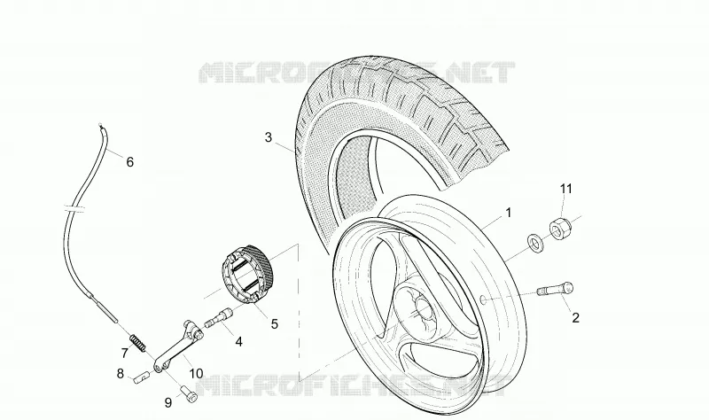 Roue arrière