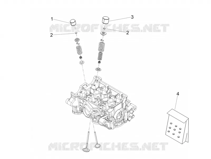 PLAQUETTE Aprilia APRILIA-MOTORCYCLES 660 TUONO 2022  Tuono 660 4T 8V Euro 5 ABS