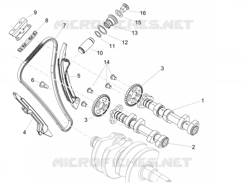 Distribution Aprilia APRILIA-MOTORCYCLES 660 TUONO 2021  Tuono 660 4T 8V Euro 5 ABS