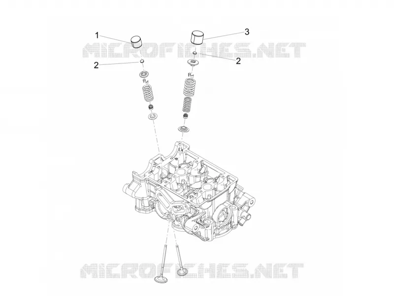 PLAQUETTE Aprilia APRILIA-MOTORCYCLES 660 TUONO 2022  Tuono 660 4T 8V Euro 5 ABS