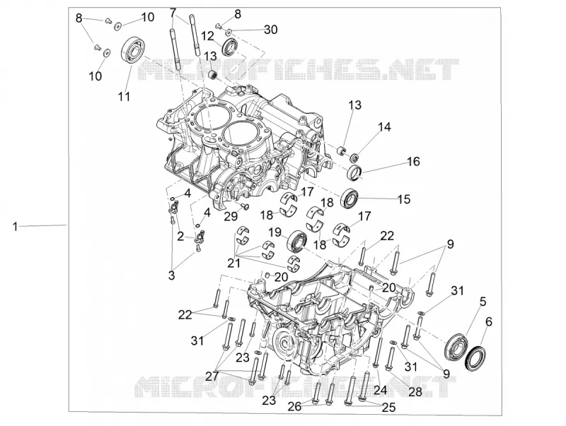 CARTERS MOTEUR I Aprilia APRILIA-MOTORCYCLES 660 TUONO 2023  Tuono 660 4T 8V E5 Factory ABS